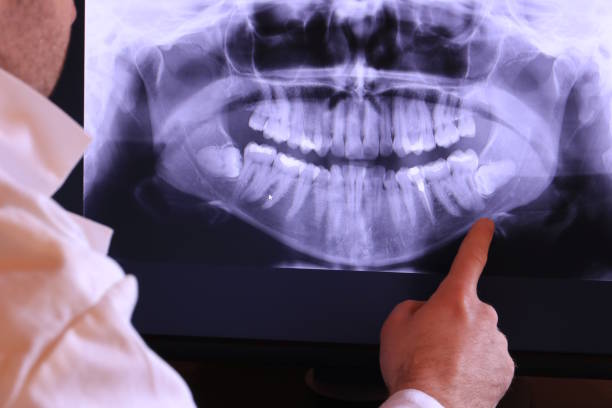 Best Emergency X-Rays and Diagnostics in Liberty Triangle, FL